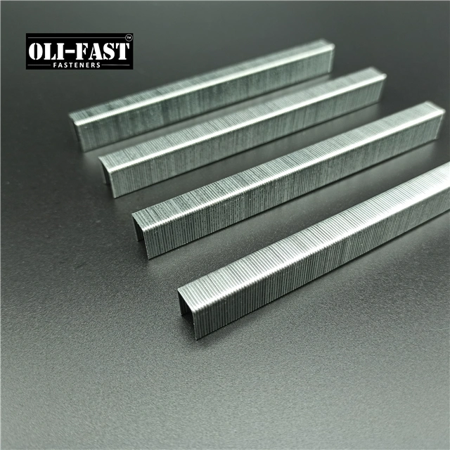 22ga Galvanized 71/12 Upholstery Staples with High quality/High cost performance 