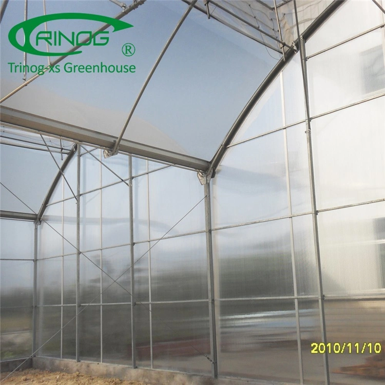 Commercial Large Plastic Film Green House for Plant Growth