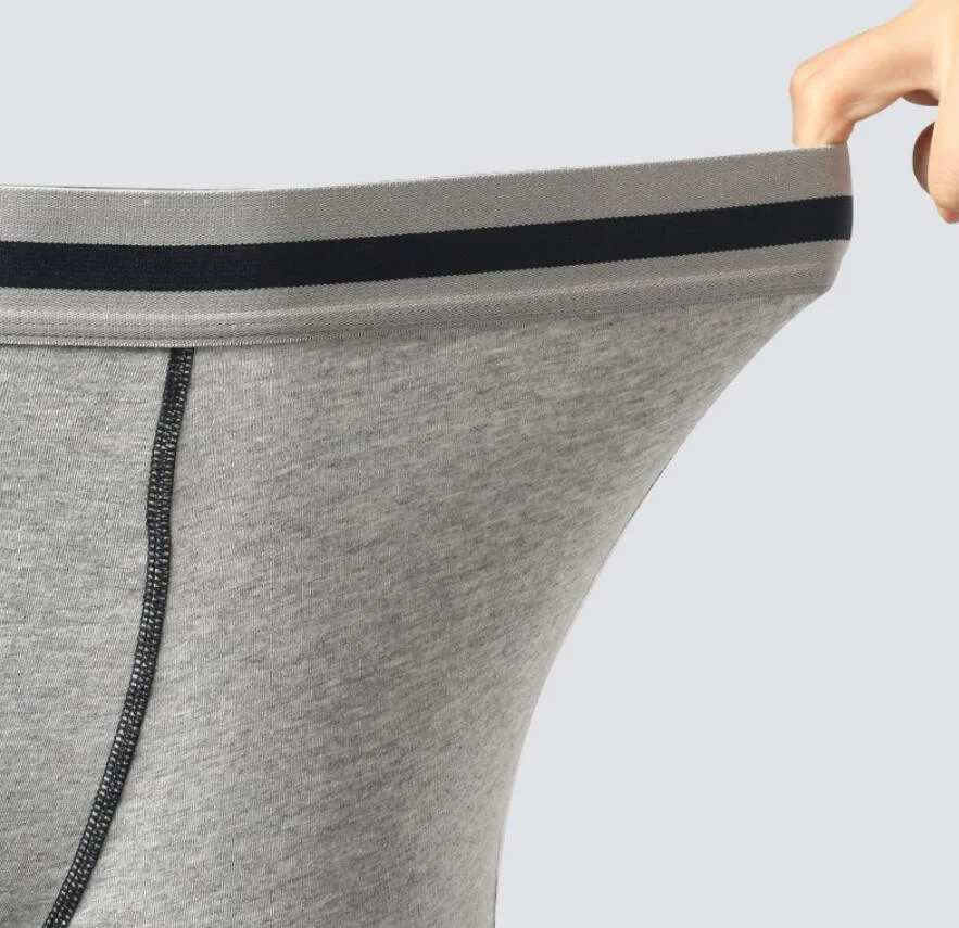 Boxers desportivos de grande dimensão sem costuras Custom para homem, algodão Slips