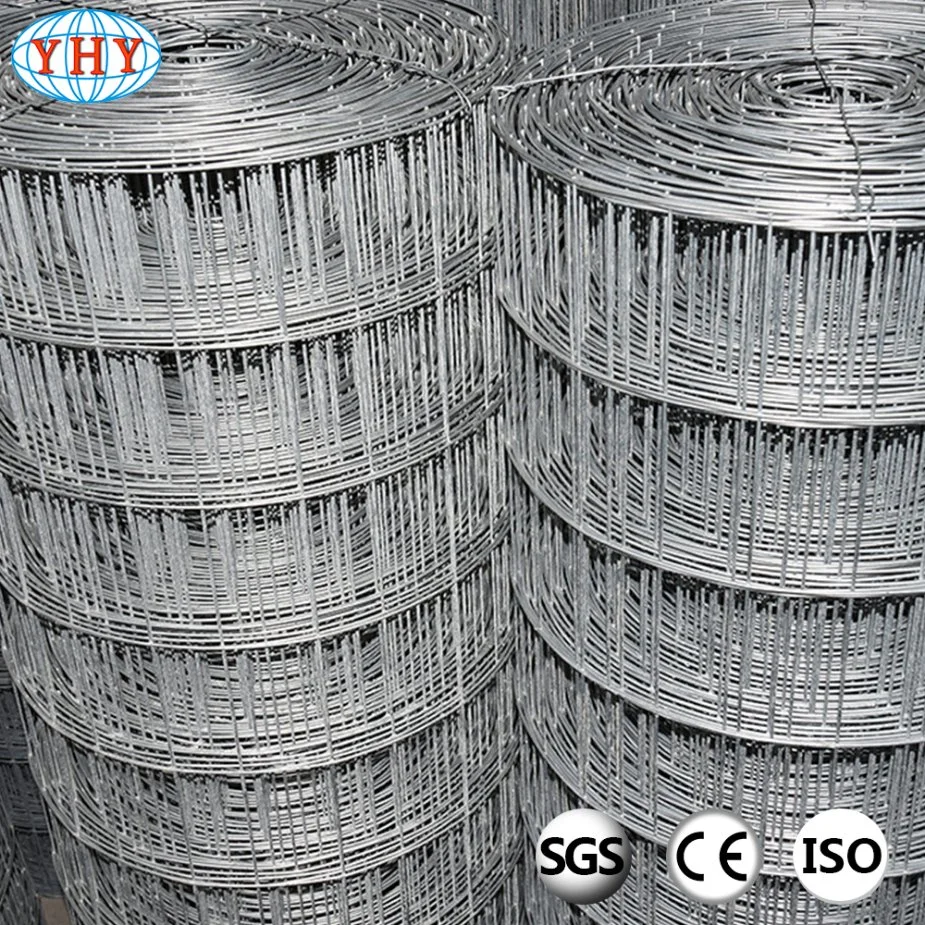 Galvanized Welded Wire Mesh Used for Construction