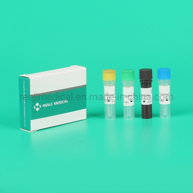 Großhandel/Lieferant medizinische RNA Extraktion Echtzeit PCR Test Kit