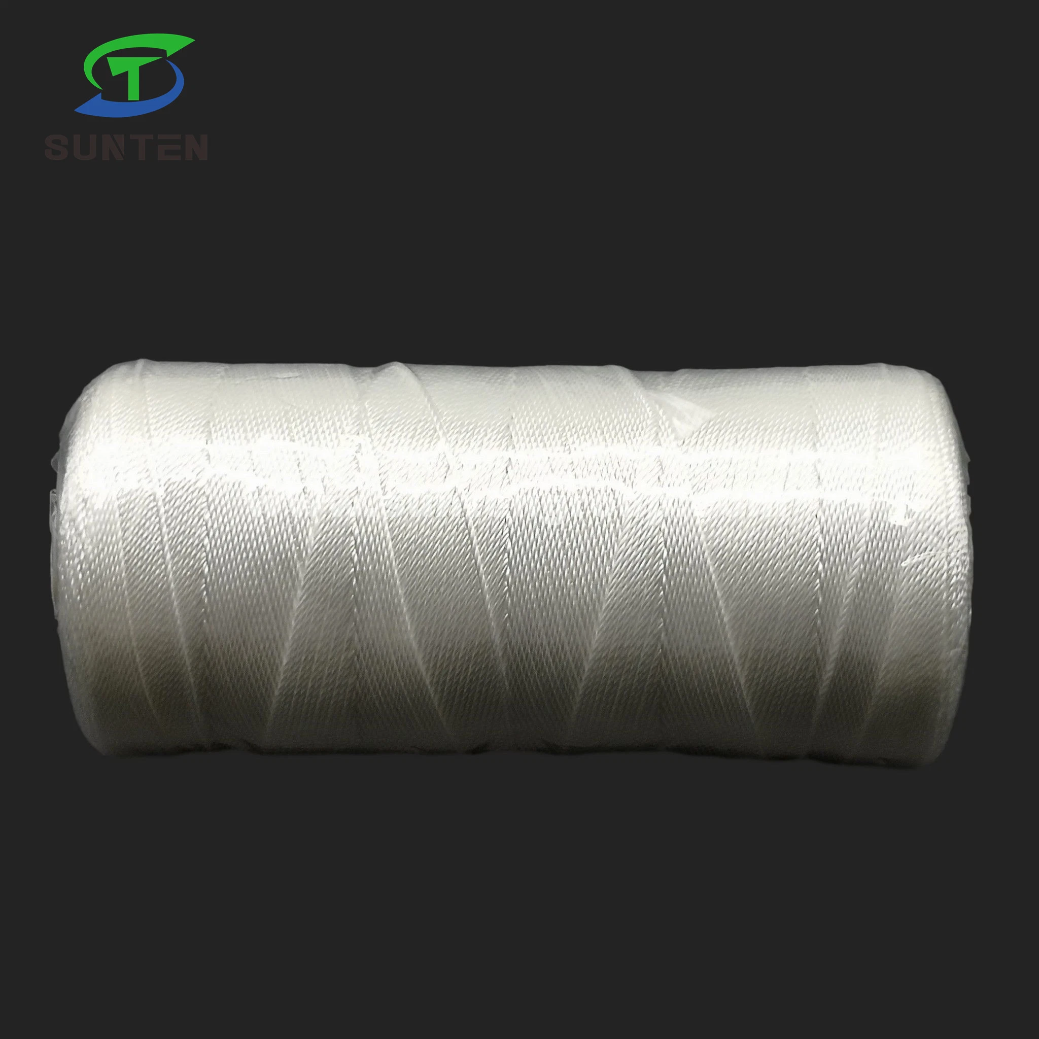 EU Standard High Tenacity White PE/PP/Polyester/Nylon/ Plastic Twisted/Braided/Baler/Thread/Packing Line/Fishing Net String (210D/380D)