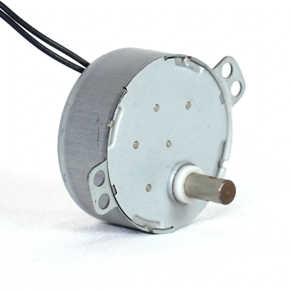 Low Speed Synchronous Motor for Indoor Monitor/CCTV Monitor