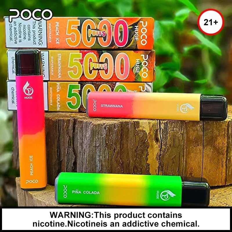 5000 Puffs Strawberry Mango Flavor Disposable/Chargeable Electronic Cigarette Poco Bar Vape Pod with 10 Flavors
