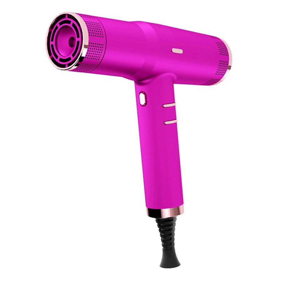 Blow Dryer, Lonic Hair Dryer, High Speed Brushless Motor Blow Dryer