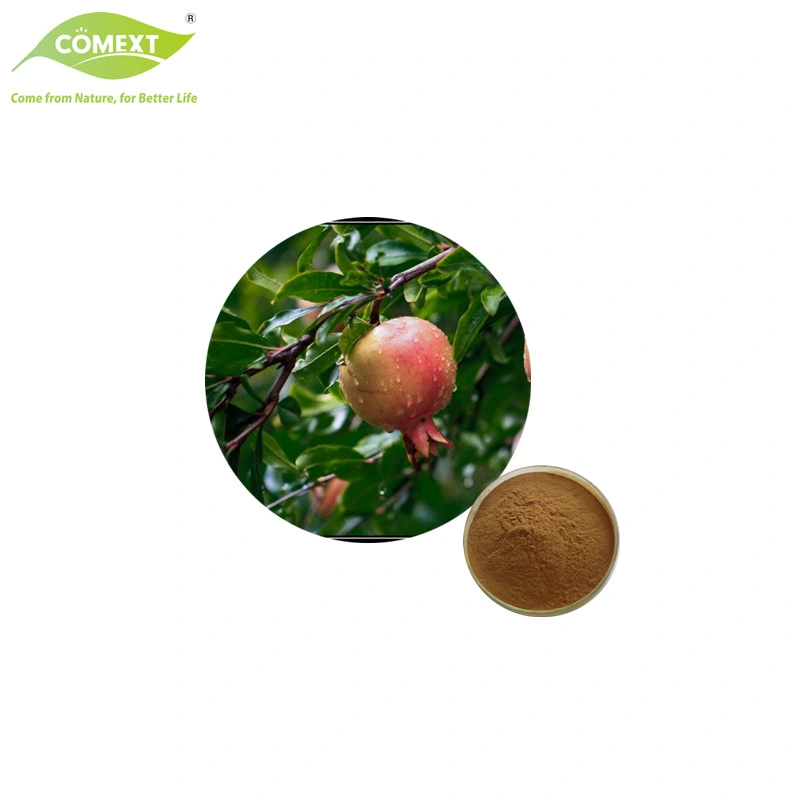 Comext Supply 100% Natural Pomegranate Extract 20% Pomegranate Glycosides Powder