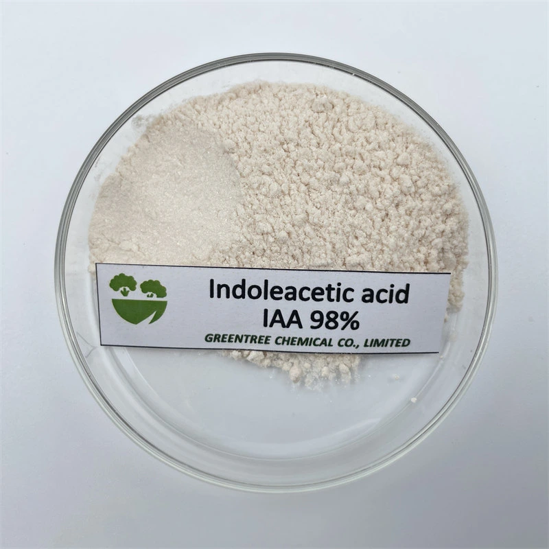 Polvo de ácido Indoleacético Premium 98% TC IAA Regulador de planta CAS87-51-4