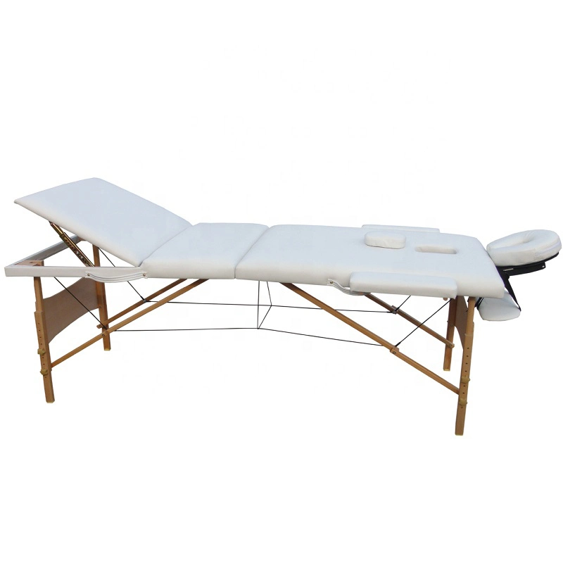 Portable Folding Massage Bed Beauty Salon Tattoo Bed Massage Table with Armrests