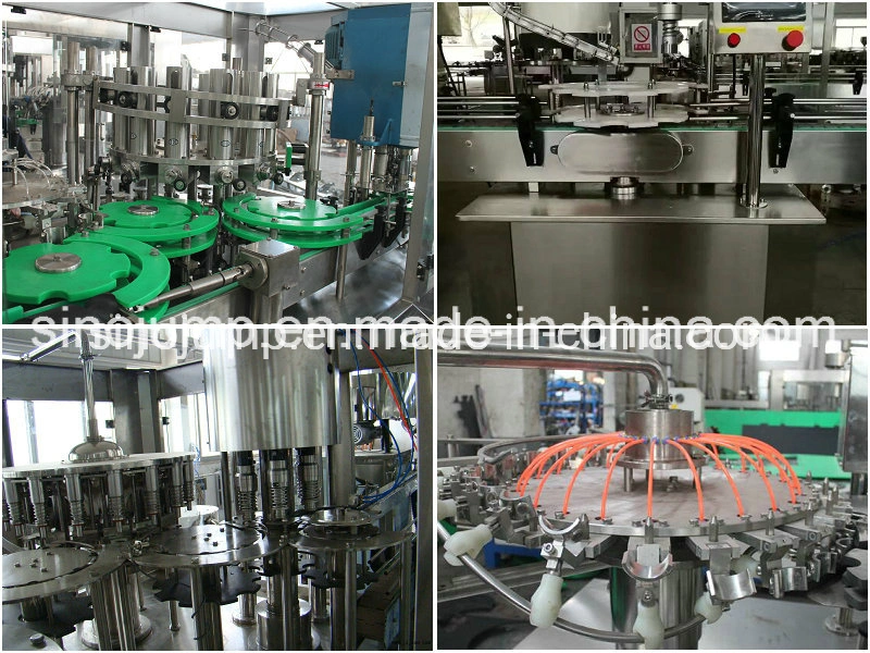 5000 Bottle Per Hour Pineapple Fruit Juice Drinking Processing Line