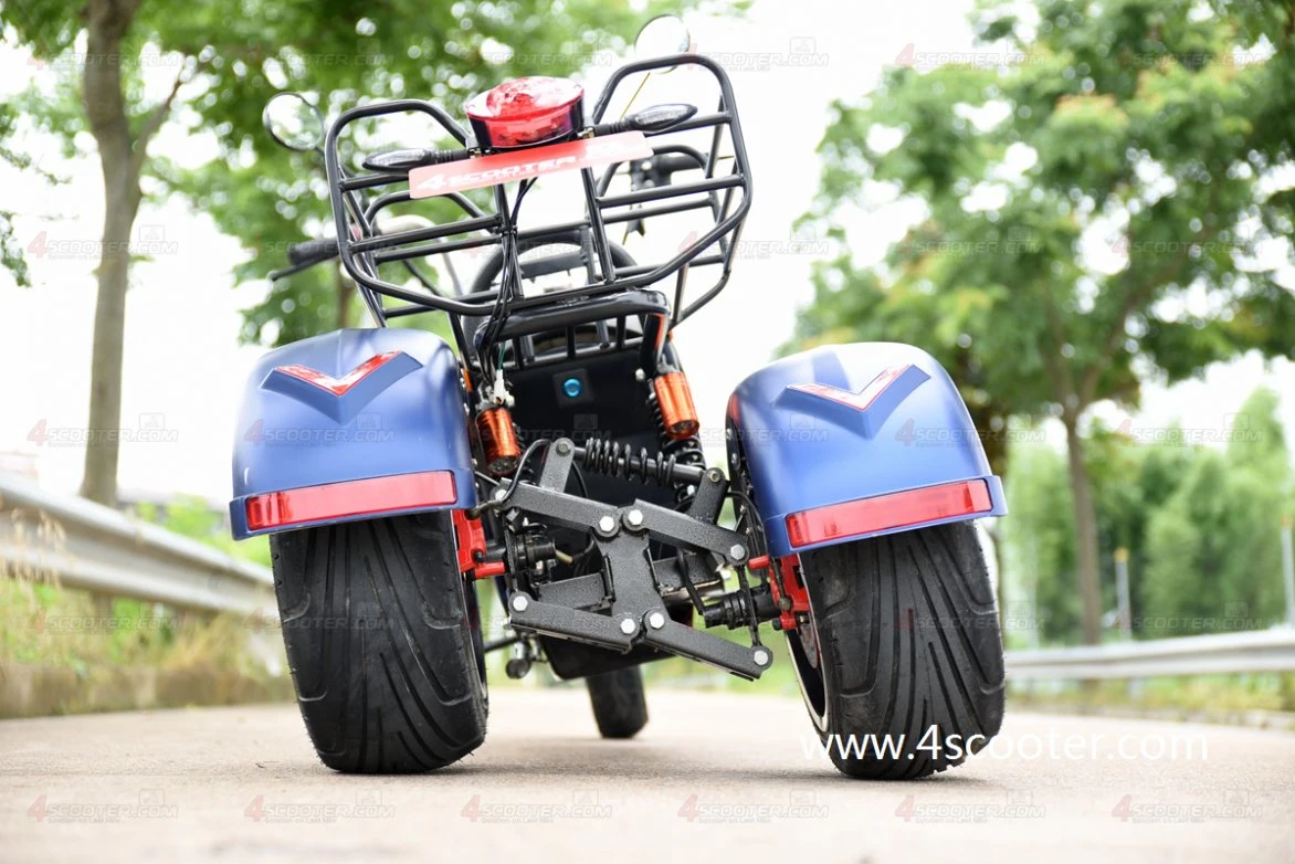 EU Warehouse Wuxing Factory Road Legal EEC Coc Electric Scooter Three Wheel Motorcycle 3200W 80km/H on OEM