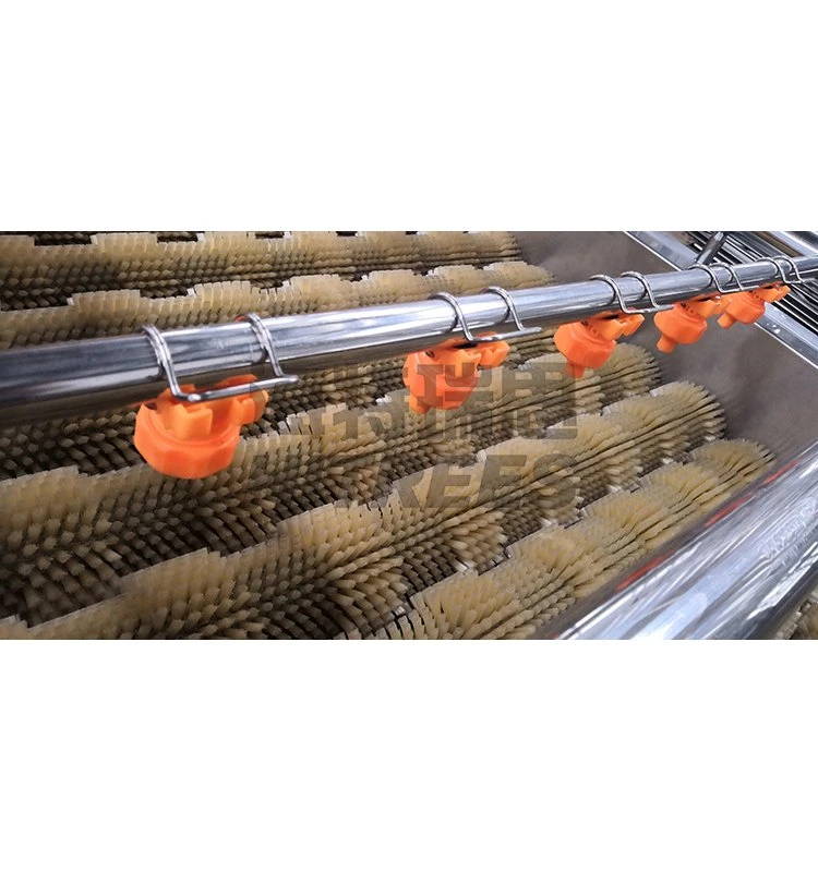 High Pressure Brush Rollers Vegetable Washer Ginger Yam Drying Machinery Carrot Potato Bean Cleaning Radish Washing Machine