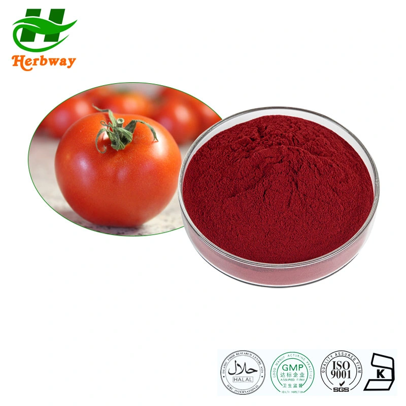 Extracto de plantas de Herbway Kosher Halal muestra gratuita certificada por el HACCP de la FSCC Extracto de Tomate en polvo de licopeno