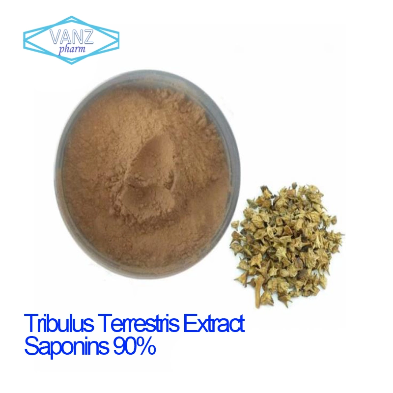 Astragalus Extract 10%~98% Astragaloside IV