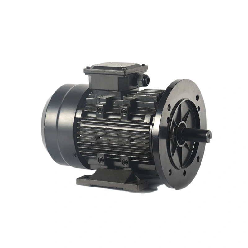 Factory Price 24V 1.5kw Brushless DC Motor BLDC Motor 1500W High Torque 9.6n. M 24V BLDC Motor with Hall Sensor for Electric Boat