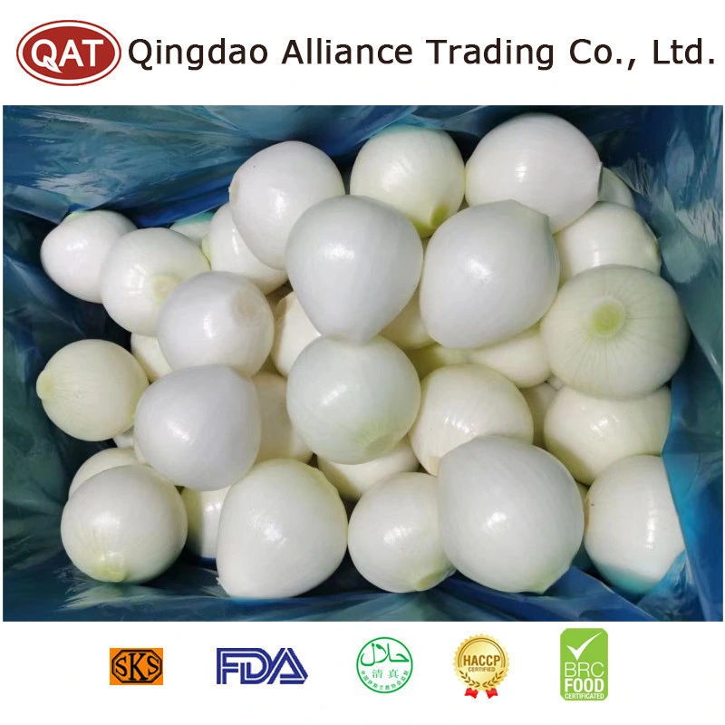 Global Hot Sale Fresh Raw Peeled Onion Ball Green White Onion with 10kgs or 20kgs Bulk Carton