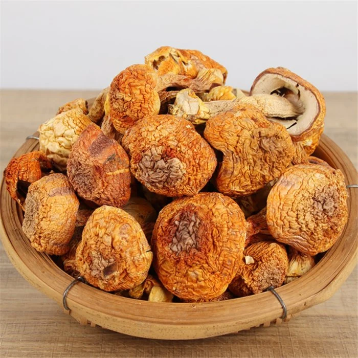 Ji Song Rong 100% Natural Herbal Food Dried Agaricus Blazei Murrill with Good Taste