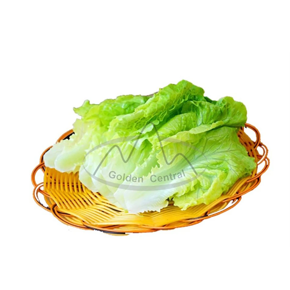 Wholesale/Supplier Chinese Natural Green Fresh Cabbage in Low Price