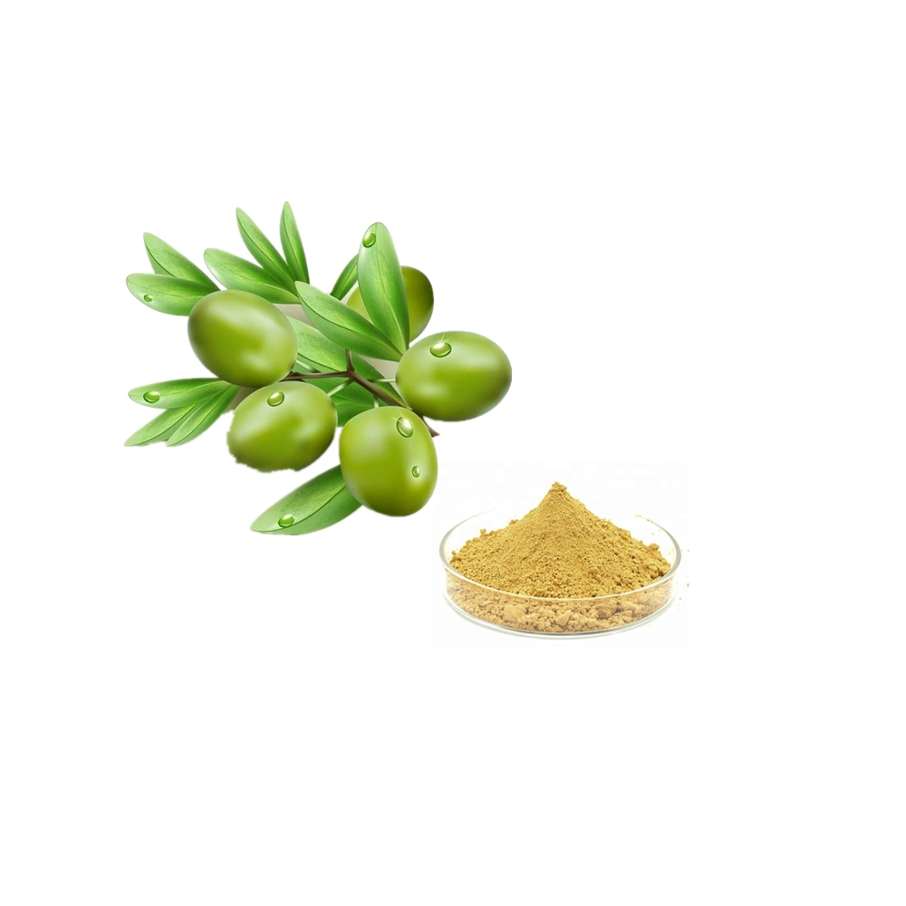 Health Care Antioxidant Olive Leaf Extract 20% 40% 50% 60% 70% 80% Oleuropein