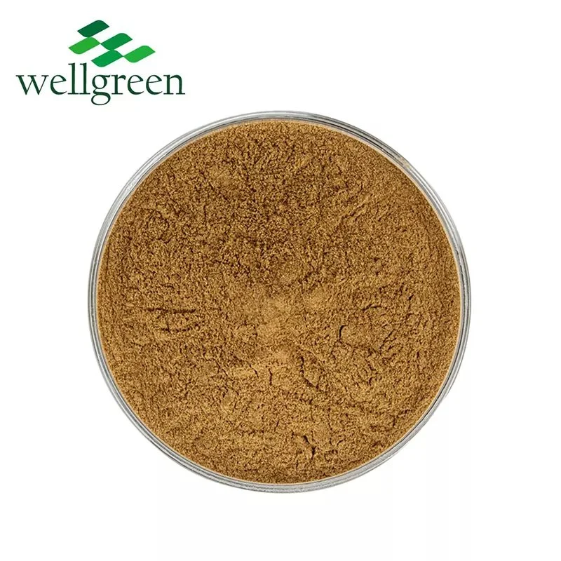 White Button Mushroom Agricus Powder Common Cultivatea10% Polysaccharides Agaricus Bisporus Extract