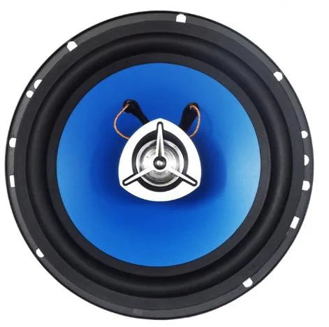 haut-parleur fort Ts-S0037-1 de subwoofer Stronge de pouvoir de 6.5 '' de haut-parleur élevé de véhicule