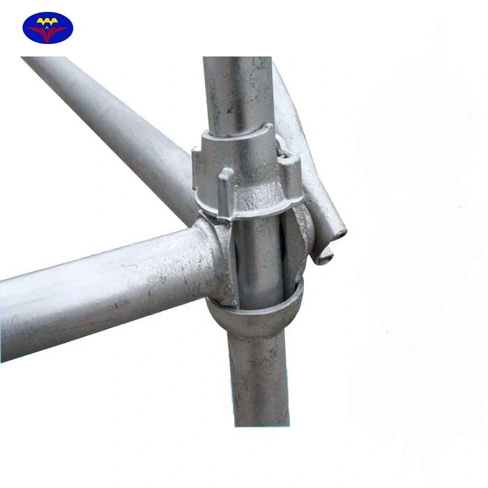Galvanizado acero Cuplock construcción estándar andamios para la venta