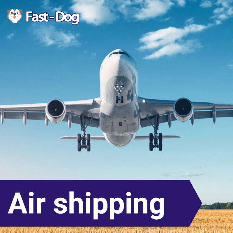 Fba DDP Dropshipping Service Air Cargo Shipping to USA Italy UK France Agent Free Warehouse