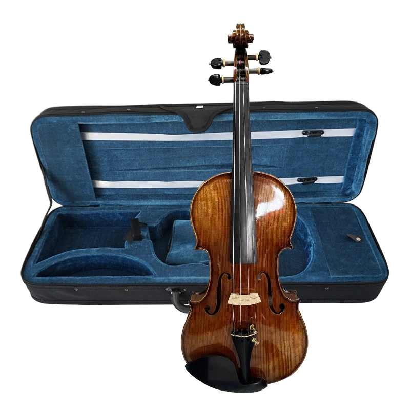 Sinomusik Antique Hand Rubbed Oil Finish Violin with Free Case Bow