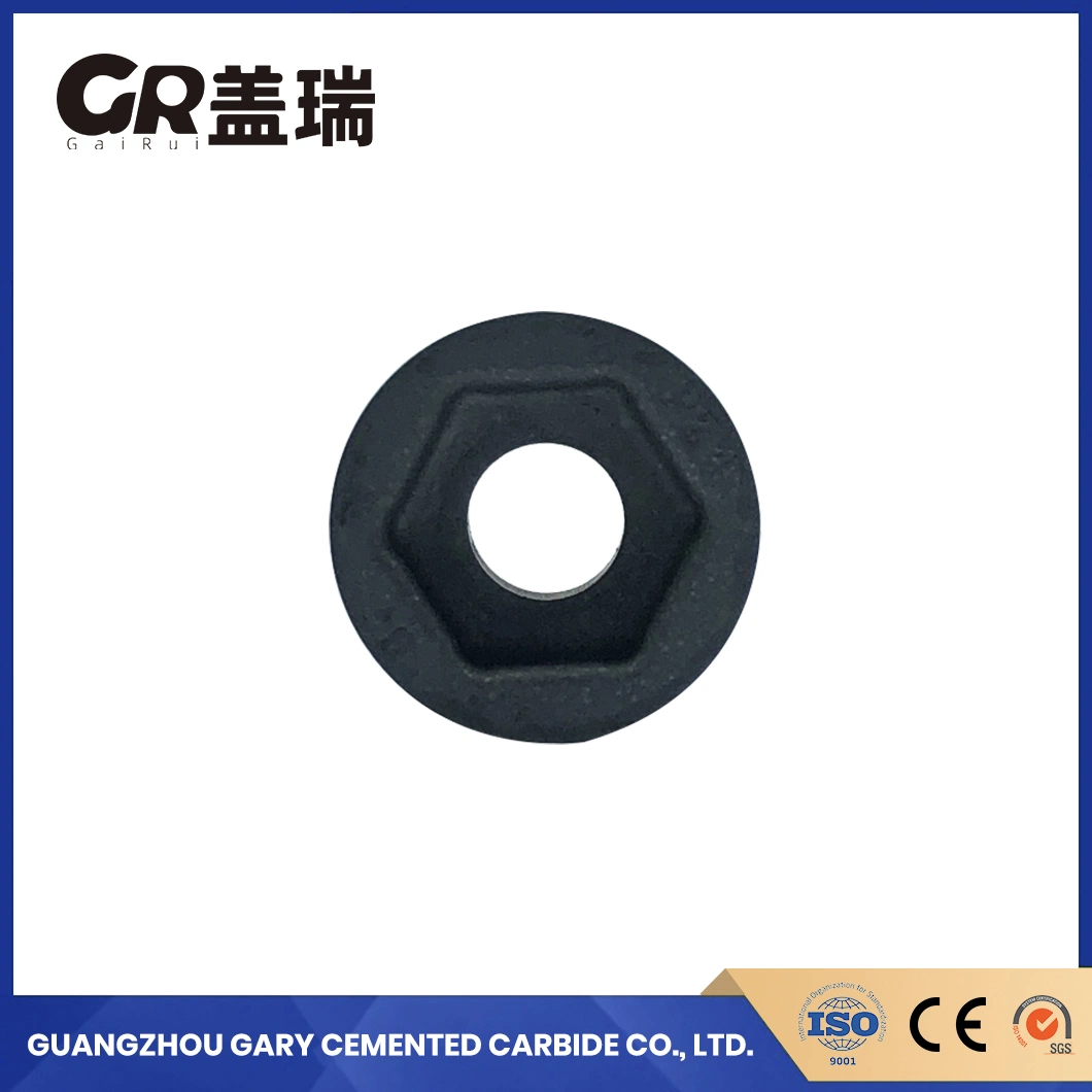 Gary China 3/4"-12un-2A Drilling Jet Nozzles Pdn300501 Durable Oil Spray Inner Hexagon Wrench Threaded Nozzle Polished Tungsten Carbide Sandblasting Nozzle