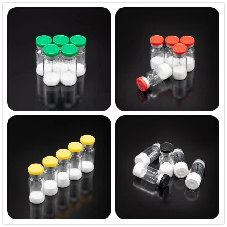 Lyophilized Peptides Epitalon Dsip Kisspeptin-10 USA Stock CAS: 374675-21-5 Croatia Bosnia-Herzegovina Italy Vatican San Marino