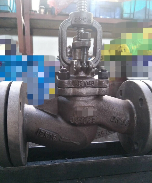 DIN Pn16 Standard Stainless Steel/Carbon Steel/Wcv Flange End/Weld End Industrial Globe Valve