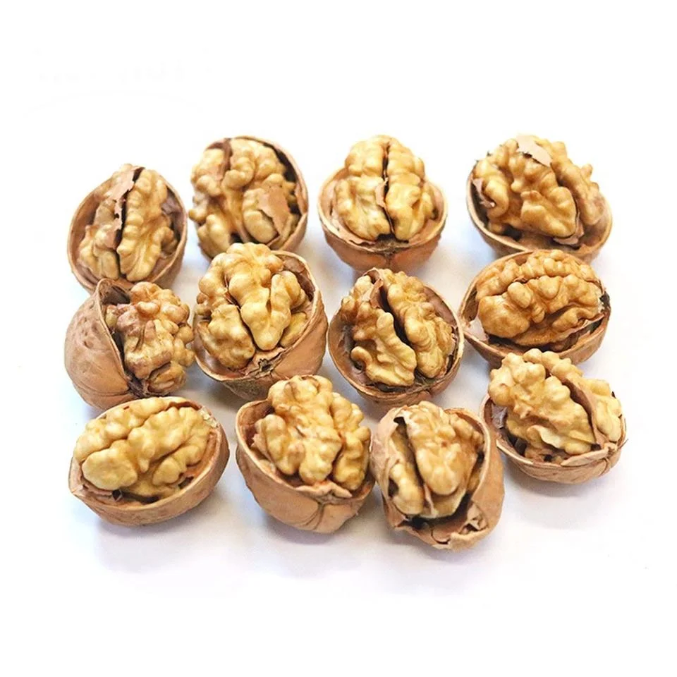 Chinese Xinjiang 185 Walnut in Shell Paper Shell Walnuts