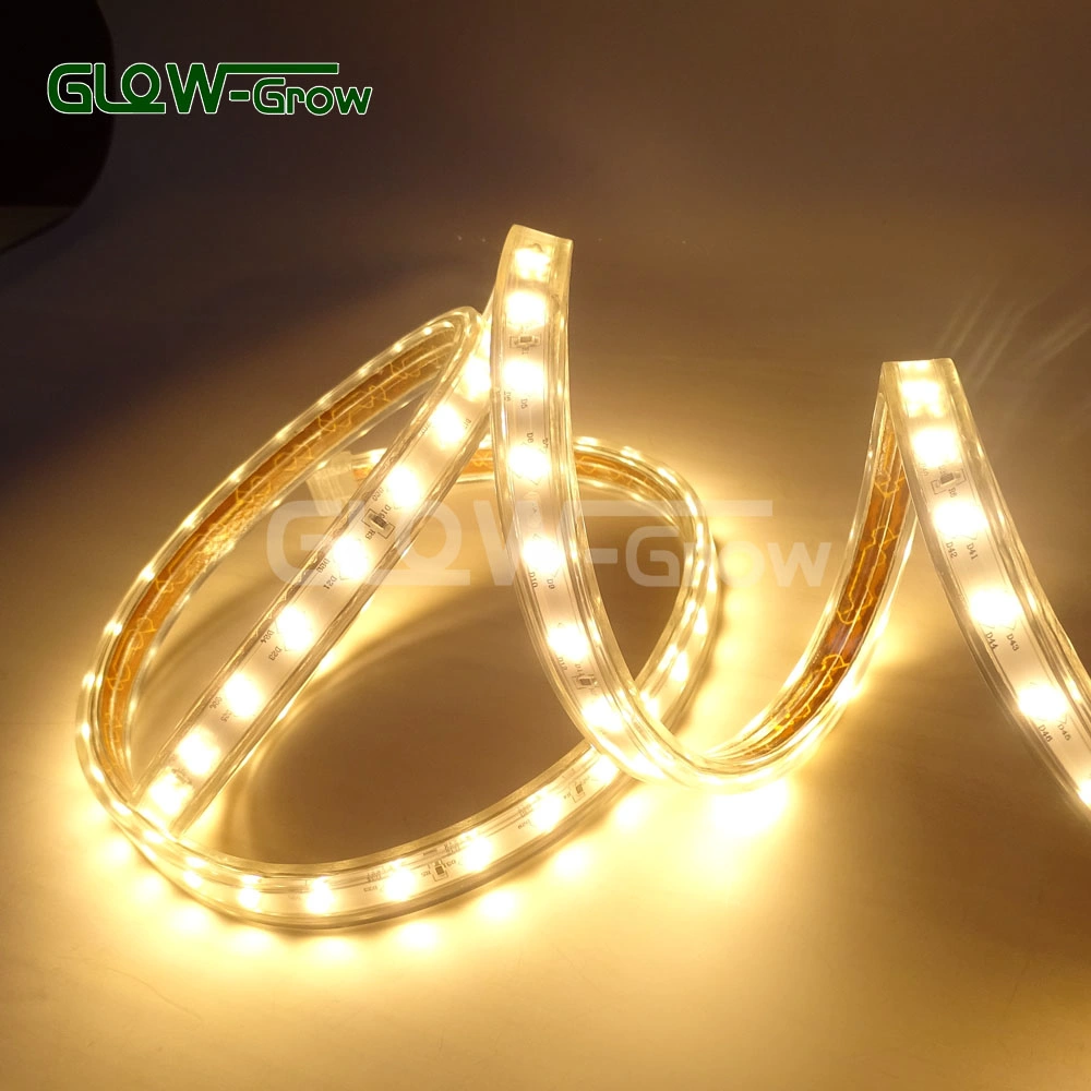 High Voltage Double Line IP65 Waterproof 120LEDs/M SMD 2835 4000K White LED Strip Lamp