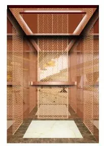 Panoramic Glass Family Circular Elevator Is Used in Popular Hot Selling Villa Home Elevator Lift