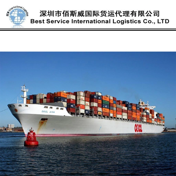 Ocean Freight Forwarder Sea Logistics Shipping From China to Myanmar, Yangon, Thailand, Bangkok/Laem Chabang, Laos DDU/DAP/DDP