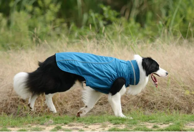 Warm Pet Clothes Coldproof Dog Winter Coat Outdoor Clothing Apparel