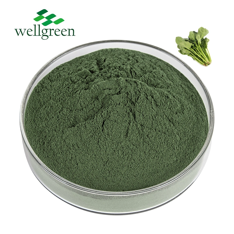 Factory Supply Vegetable Spinach Powder Wholesale Spinach Juice Powder
