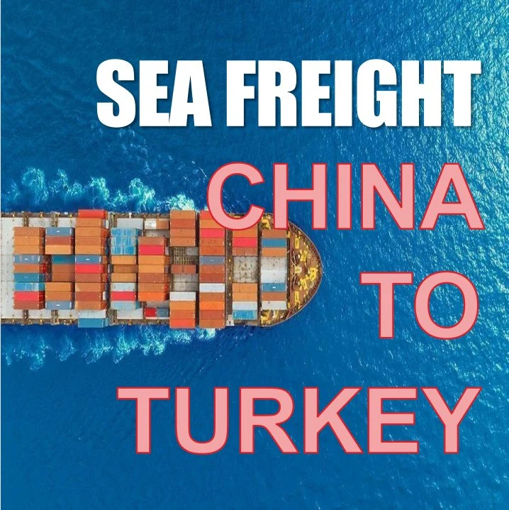 Sea Freight FCL LCL From Ningbo to Istanbul Kumport Ambarli Turkey