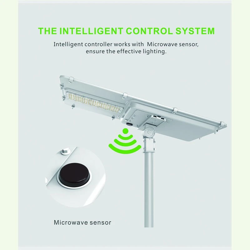 Intelligent Controller with Microwave Sensor 30W Solar LED Street Light