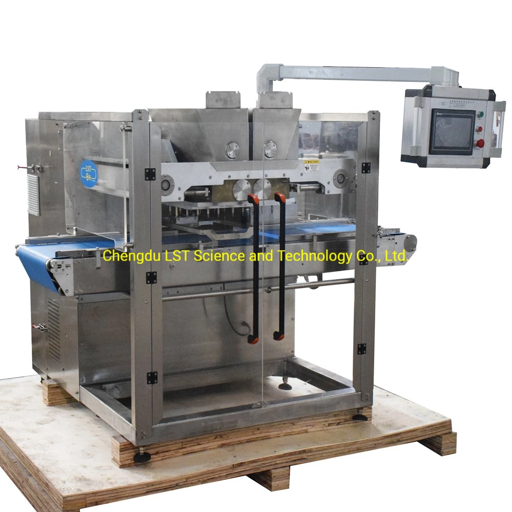 Block Chips Lst Biscuit Machinery Chocolate Production Line 3D Decorating