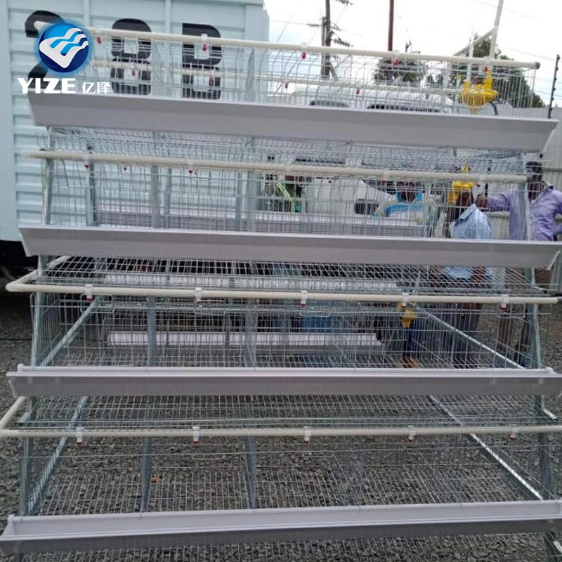 Battery Cages for Poultry Chicken Layer for Broilers and Baby Chicks