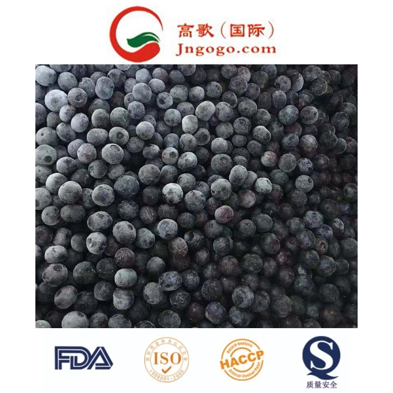 New Crops Frozen Blueberry IQF