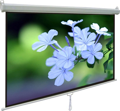 Rear Screen Tab Tensioned, Motorized Rear Projection Screen