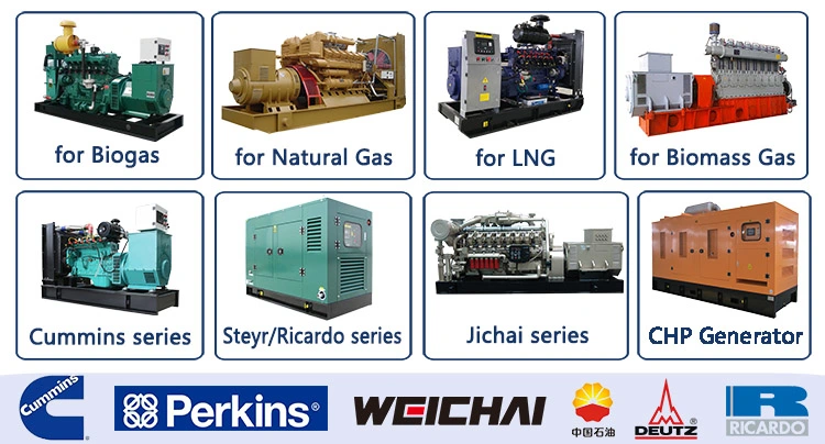 Renewable Energy Gas Generator Combined Heat and Power Systems