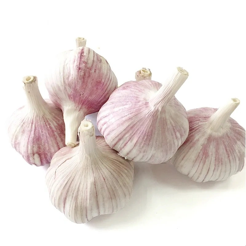 New Harvest Fresh Garlic (Normal White Garlic/Pure White Garlic) From China, Wholesale/Supplier Price