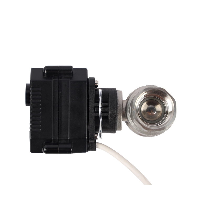 2 Way Mini Smart Quick Install Electric SS304 Valves AC 220V Motor Operating Ball Valve Motorized Water Flow Stainless Steel Ball Valve