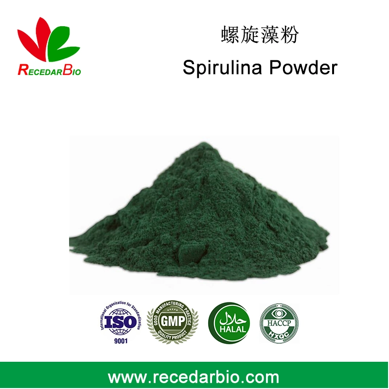 Suplemento nutricional natural Spirulina algas verdes em pó fino