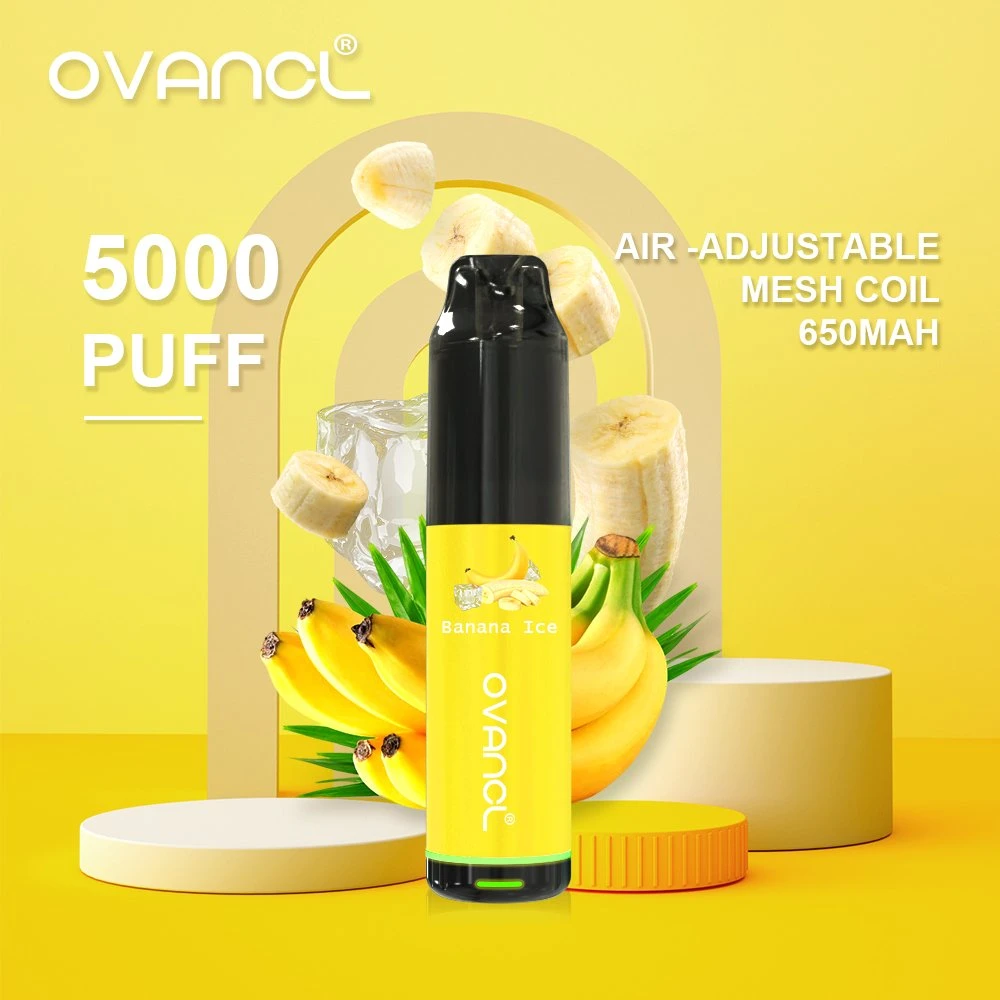 Ovancl Original Design E Cigarette 5000 Puffs Vape Rechargeable Vaporizer Air Adjustable Disposable/Chargeable E Ciga Free Vape Pen Starter Kit