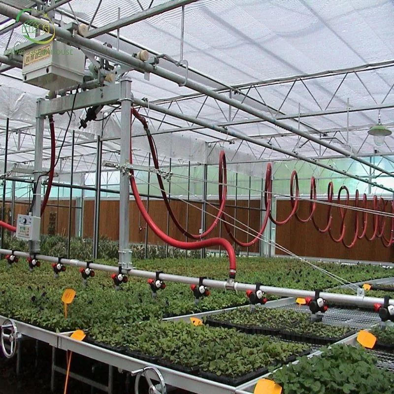 Film Vegetable Greenhouse Flower Growing Multi-Span Cultivation Hydroponics System Film Greenhouse with Seedbed