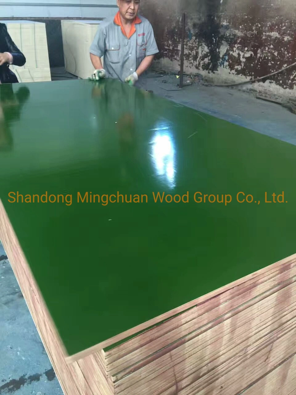 Green PP Plastic Film Faced Plywood Shuttering Construction Hardwood Plywood