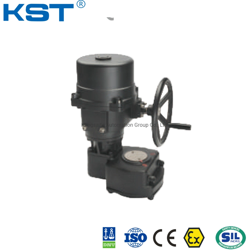 Q Series Electric Actuator with Worm Gear Box